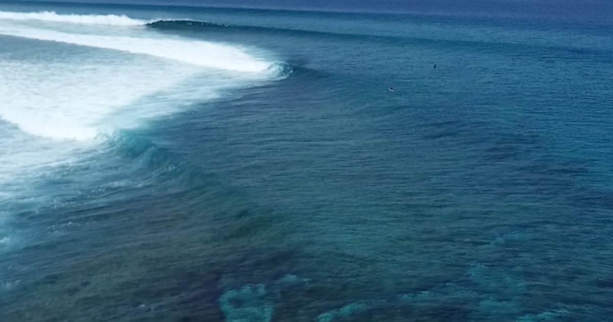 C3F855EB-6769-481F-A1E2-945AE730AE30_resized