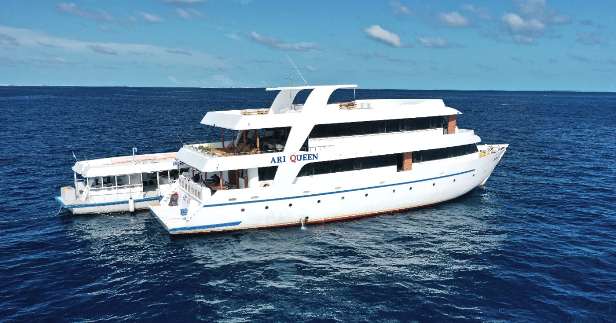 DJI_0089 reduced_resized