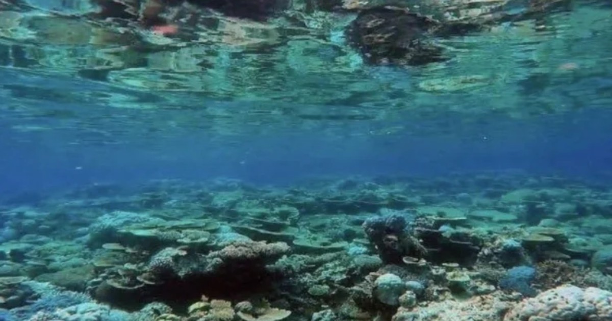 Screen+Shot+2024-09-26+at+12.48