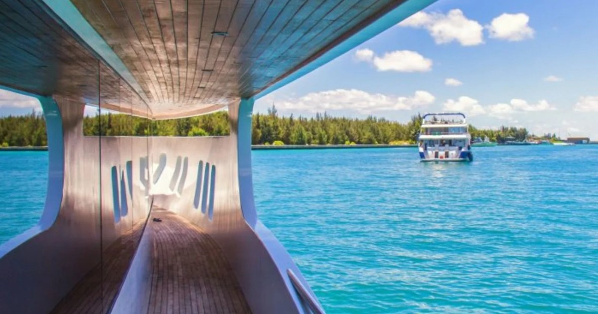 Screen+Shot+2024-10-02+at+8.19