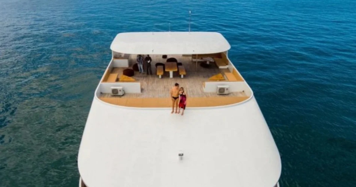 Screen+Shot+2024-10-15+at+10.11