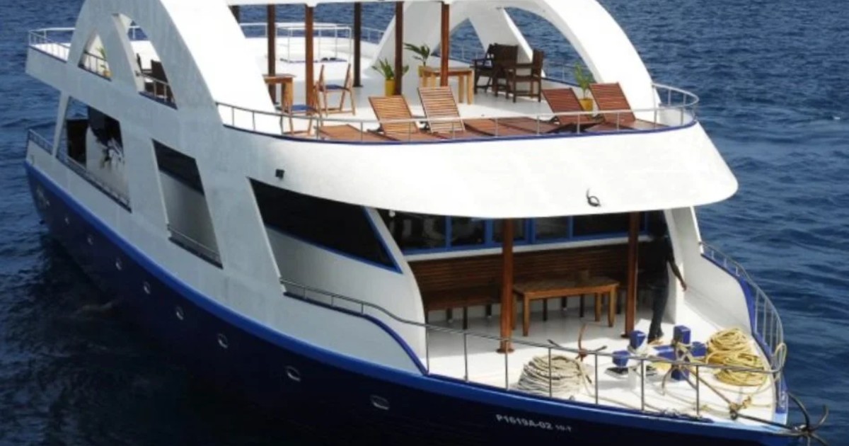 Screen+Shot+2024-10-15+at+11.08