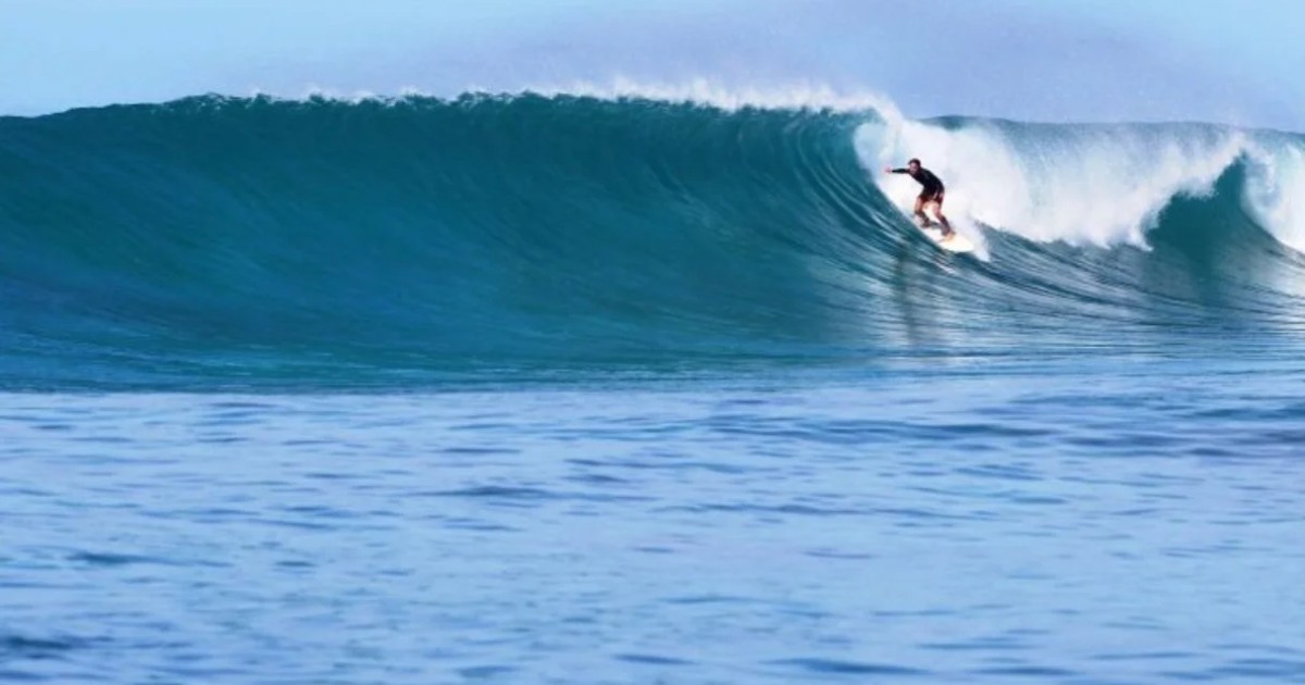 Screen+Shot+2024-10-15+at+11.11